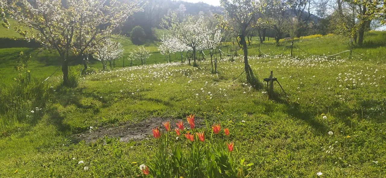 Polinago La Quagnola Splendida Casa In Appenninoヴィラ
